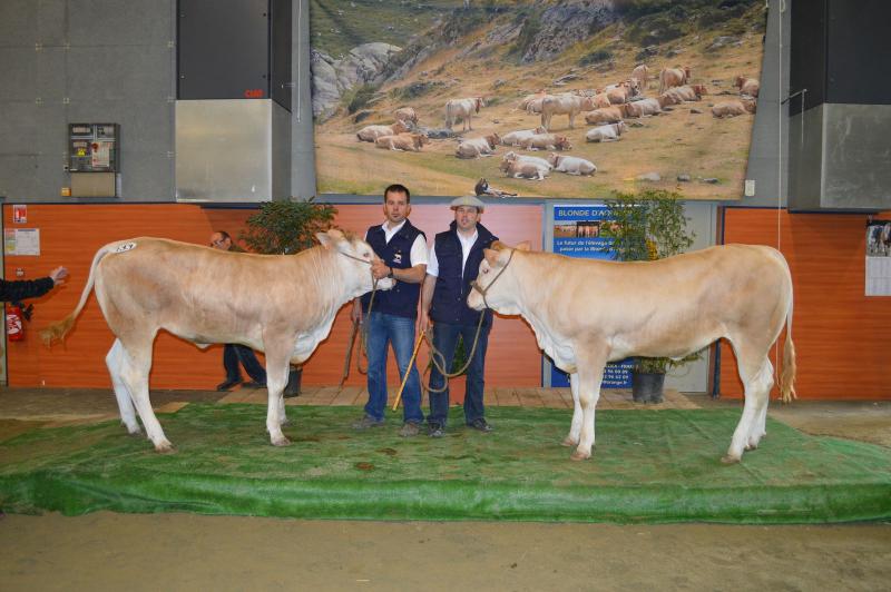 Retour du concours Interrgional  Morlaix