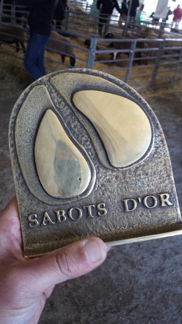 Sabot d'or 2015