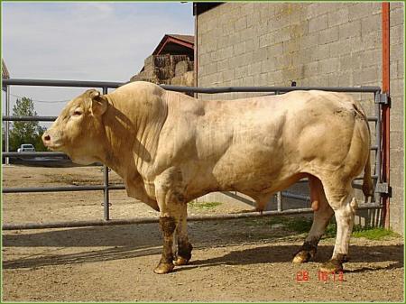 Pompier (Livre x Hippie)