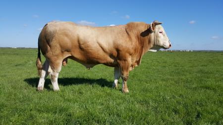 Jackpot (Clic x Grenade)