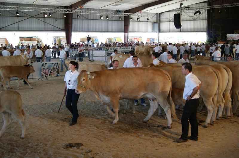 National  Bergerac - septembre 2011