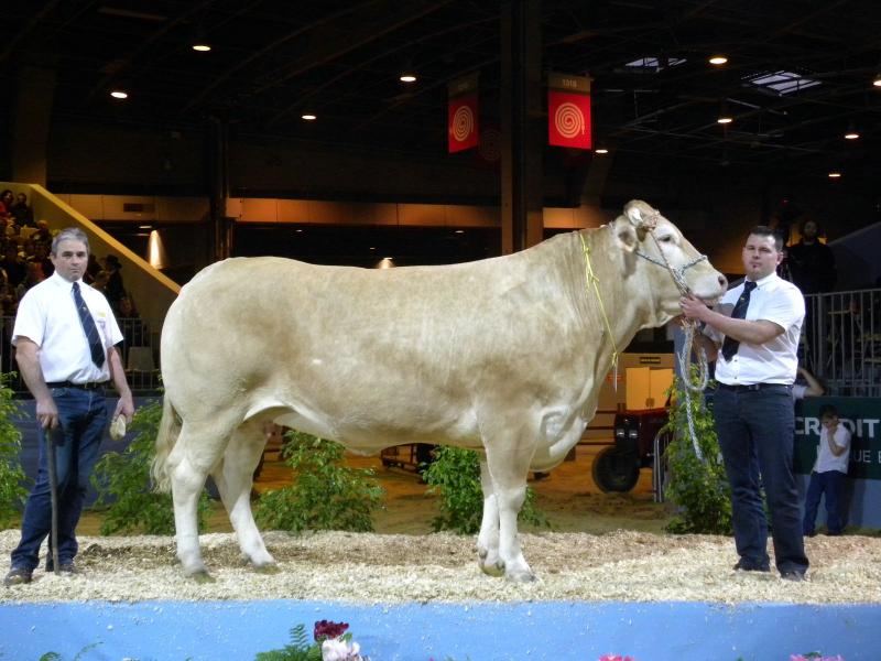 Concours gnral Agricole de Paris - fvrier 2010