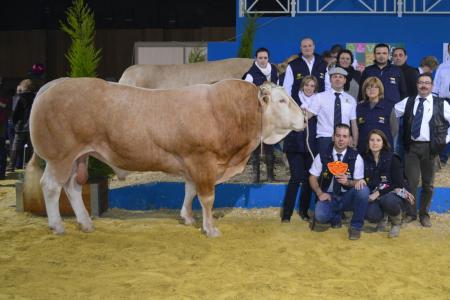 Concours Gnral Agricole  Paris - Fvrier 2014